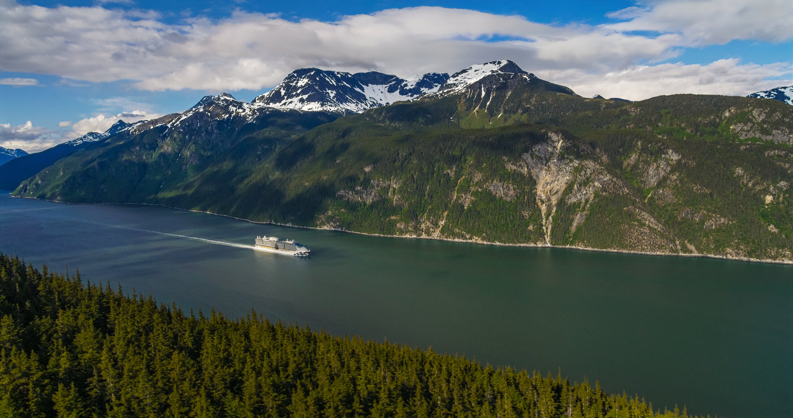 A Princess ship sailing an Alaskan fjord
